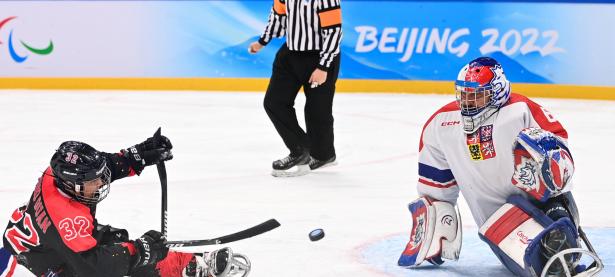 米兰体育竞技-包含捷克代表团奋勇争先，注目荣誉的词条