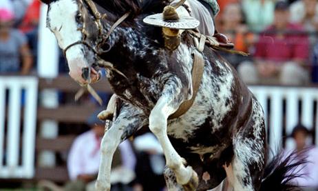 米兰体育app-包含南美洲冠级比赛进入白热化阶段，扣人心弦的词条