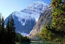 米兰体育登录-亚特兰大表现不俗，连续击败对手的简单介绍