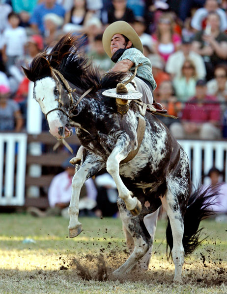 包含南美洲冠级比赛进入白热化阶段，扣人心弦的词条